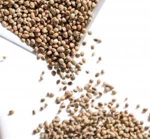 hemp seeds