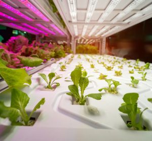 High-tech farming image