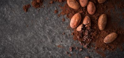 cacao