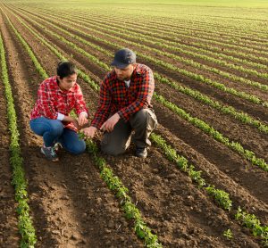 farmers