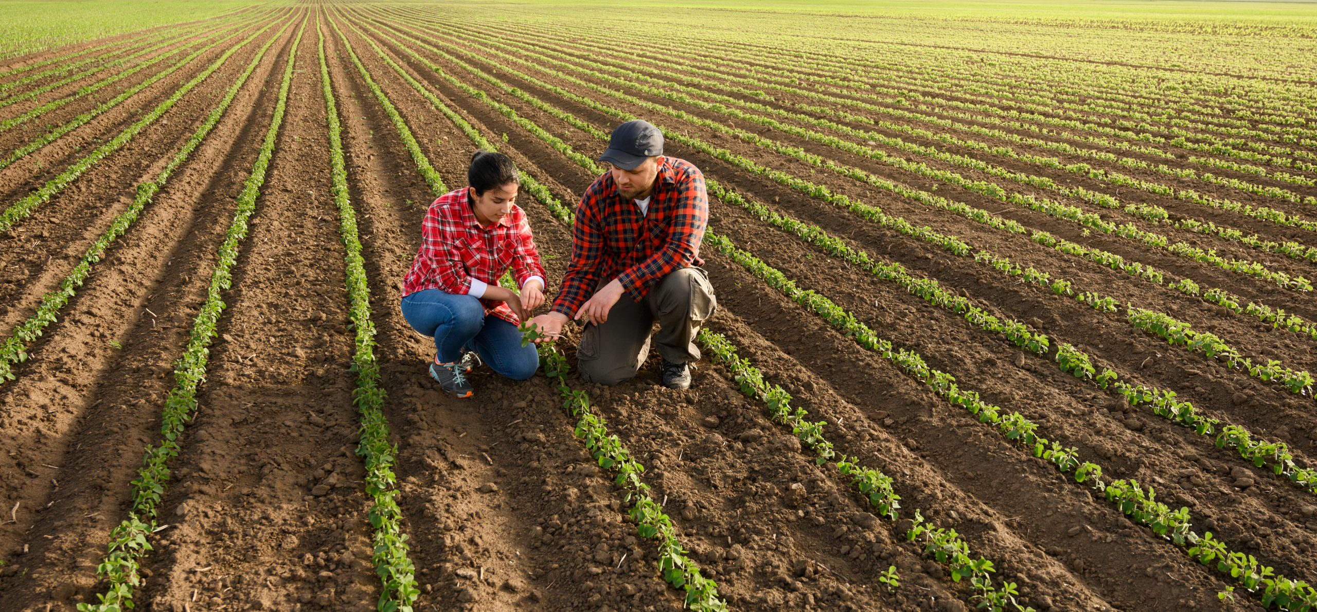 farmers