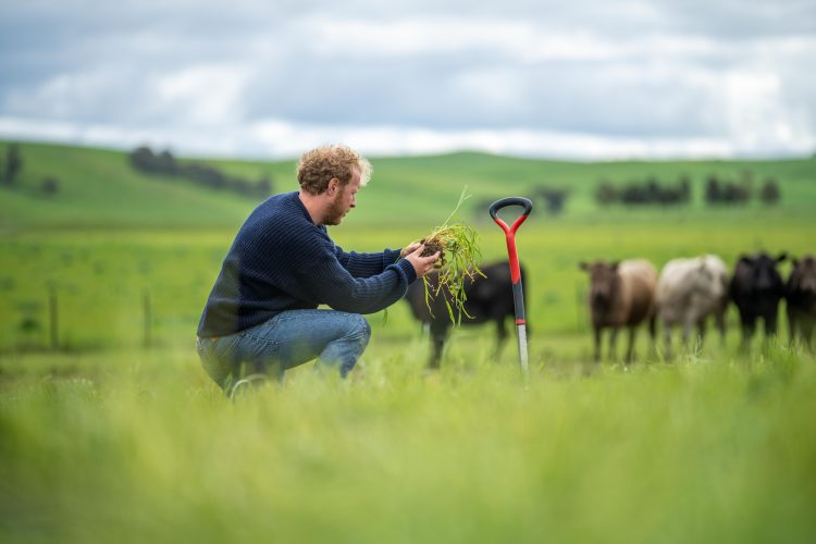 regenerative agriculture