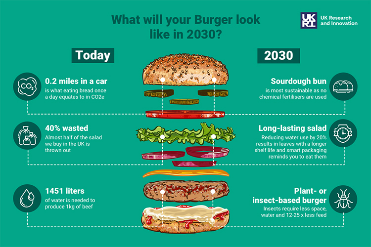 The Future of Net Zero Eating